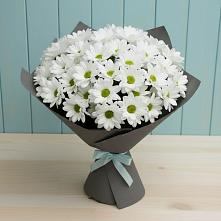 Букет цветов из:  Хризантемы #REPLACE_PRED# Шемордан