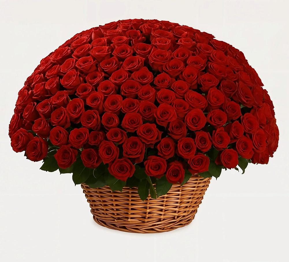 Премиум букет из: Розы в Шемордан