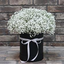 Цветочная композиция из Гипсофила в шляпной коробке в Шемордан